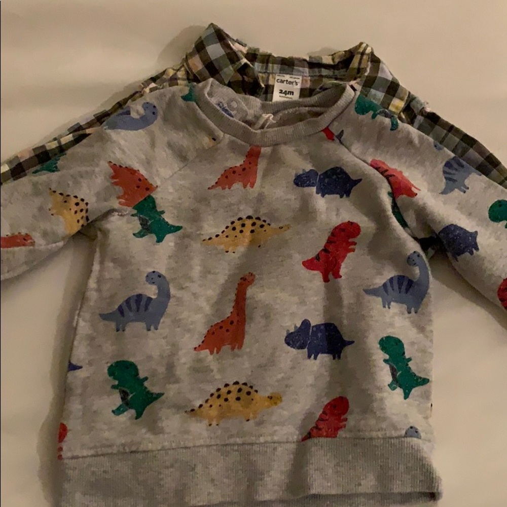 H&M dinosaur sweatshirt, carter button down